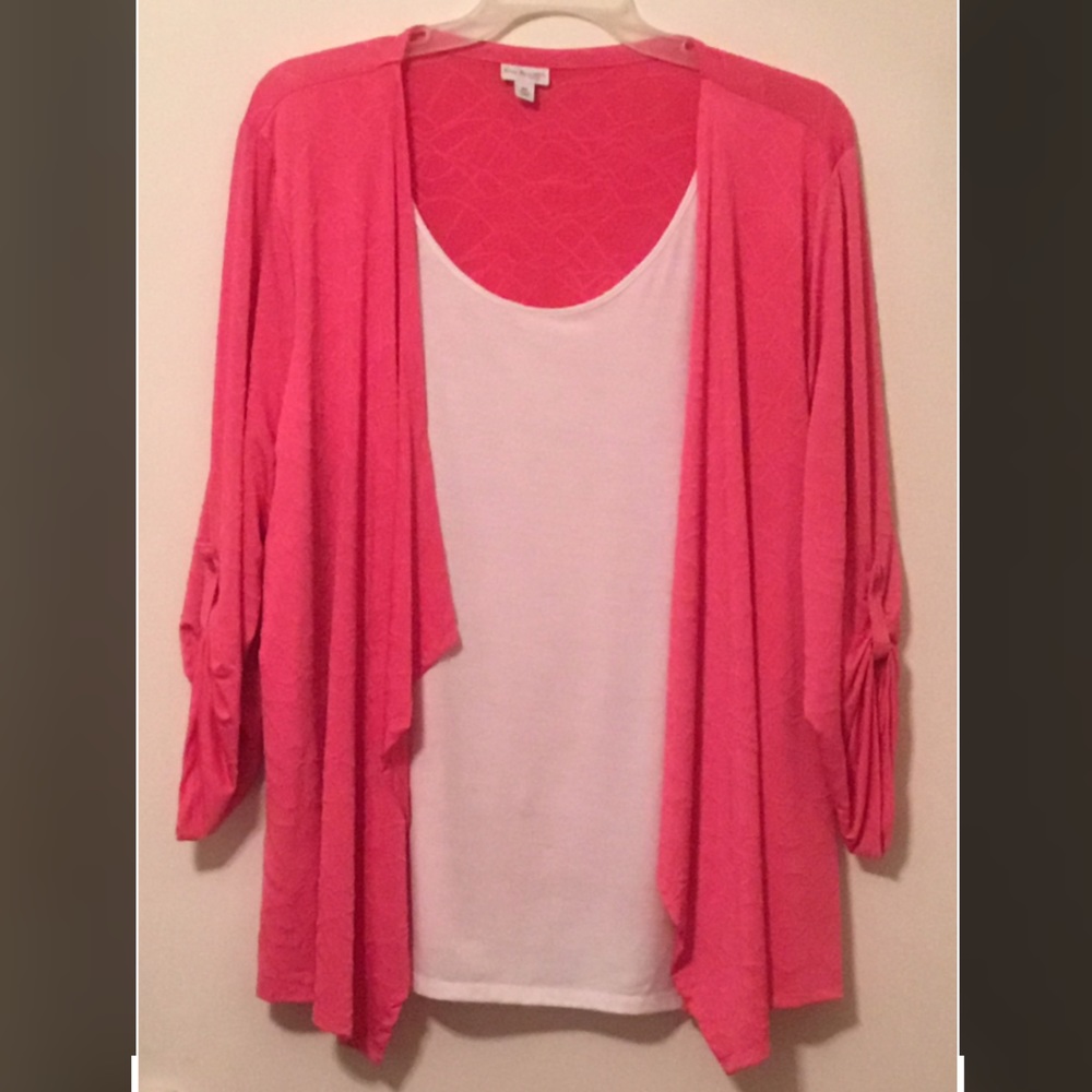Kim Rogers, Curvy Size 2X Pink /White 2 Piece Layered Set Top.
Make an offer!